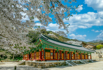 Fototapeta premium A Beautiful scene of South Korea landscape