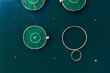 Fish cages top down
