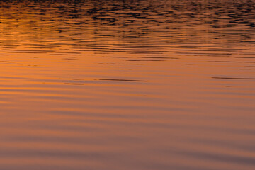 Reflection of the sun in the water. Summer dawn. Close-up