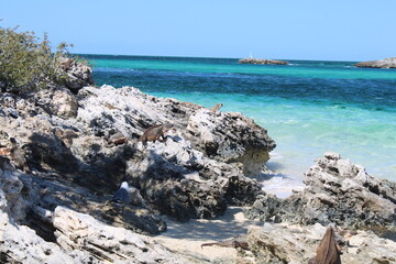 Fototapeta na wymiar Bahamas
