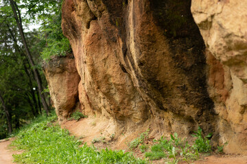 Landscape with high mountains in the summer. Beautiful forest in spring.