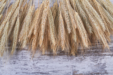Collection of golden wheat ears on white wooden background.