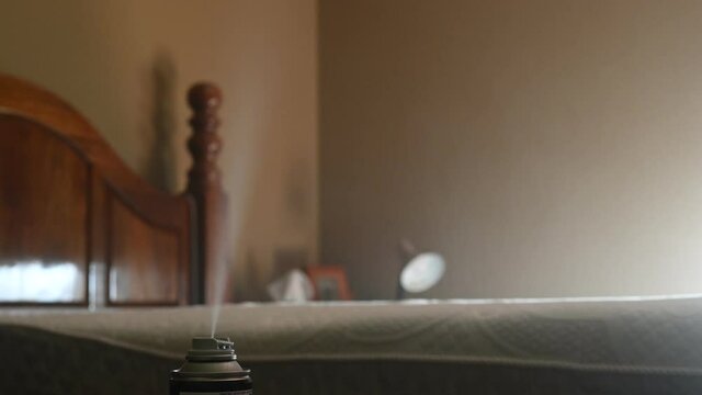 Selective focus on insect insecticide aerosol can fogger used to kill bed bugs, spiders, mites, flies, and fleas