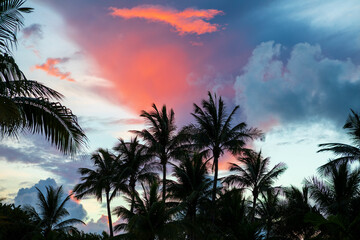 Fototapeta na wymiar Palm trees silhouettes on tropical beach at vivid sunrise time