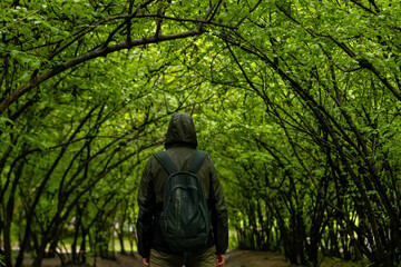 man walking and relaxing in park. Tourist with backpack walking in park. Spending time alone in nature. Peaceful atmosphere. Back view.