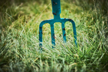 gardening fork on a background of green grass