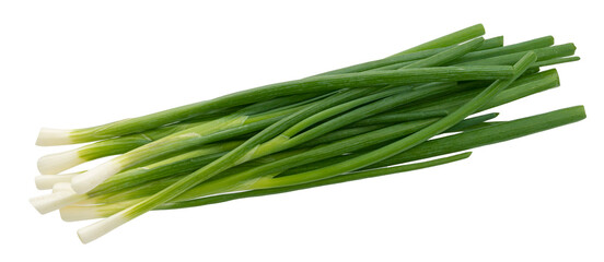 Green onion, fresh chives isolated on white background 