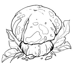 coloring book for children. stylized black line mushrooms.