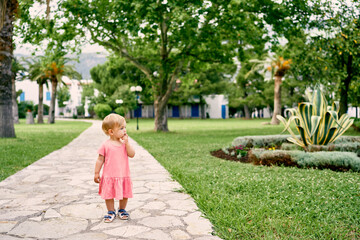 Fototapeta na wymiar Little girl stands on a cobbled path in the garden next to an agave bush