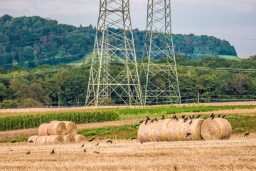 Strommasten und Strohrollen im Feld