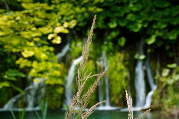 Beautiful splashes of water on waterfalls in Croatia national park Plitvice lakes