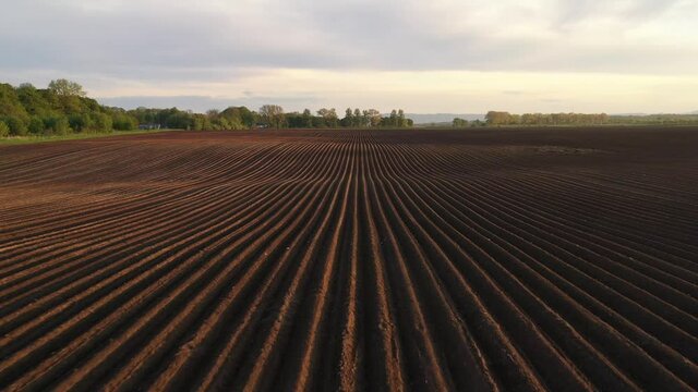 Drone flight over agricultural field with even rows in the spring