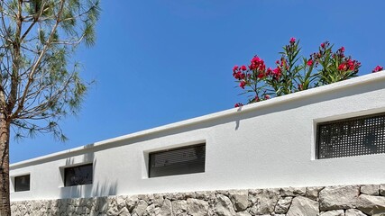 Moderne Mauer mit Blumen und Pflanzen umgeben