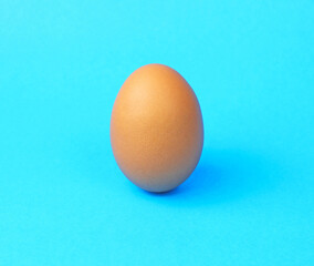 one fresh chicken egg on a blue background