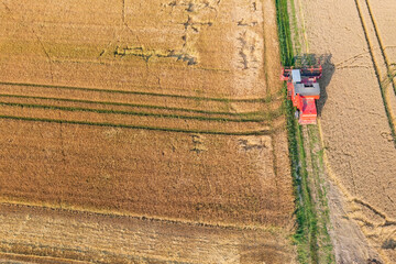 Bird's-eye view of a combine harvester harvesting a grain field in the Taunus / Germany 