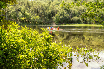 A photograph of kayakers going down a river, it is taken from the shore behind a green bush