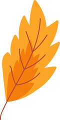 Fototapeta premium Maple dried orange leaf garden eco nature vector