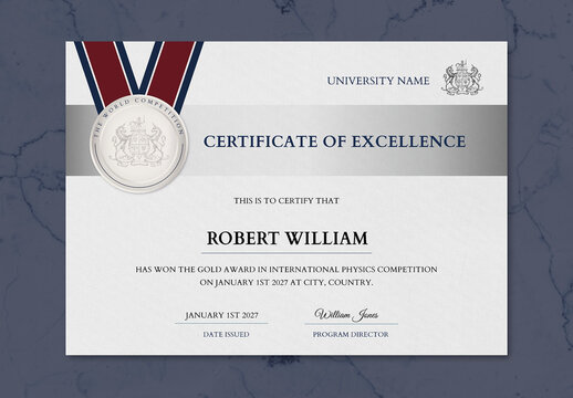 Professional Award Certificate Layout