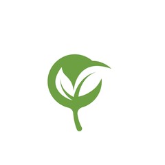 organic leaves icon vector design template