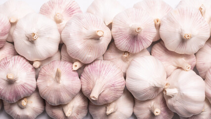 Garlic isolated on a white background.