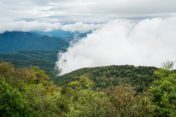 Fog cover beautiful rain forest mountain in northern Thailand, Chiang Mai.