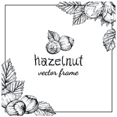 Hazelnut hand-drawn frame or background. Sketches in the vintage style of engraving