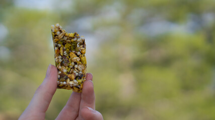 Bar of nuts and honey for hiking. Healthy and sweet snack on a background of trees. Fitness bar with sunflower seeds