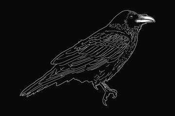 Black Raven Drawing Vector Illustration