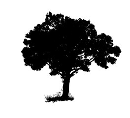 monochrome tree object. Vector illustration