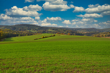Fototapeta premium Felder und Wald im Herbst bewölkter Himmel
