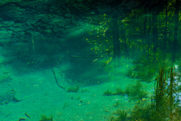 Romania, Caras-Severin county, Ochiul Beiului, Cheile Nerei