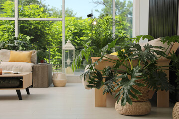 Indoor terrace interior with modern furniture and houseplants
