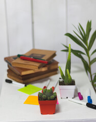 cactus and plants on a white desk in an office with white backgroud.