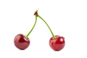 Fototapeta na wymiar ripe cherry berries on a branch, isolate on a white background