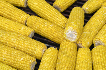 Cooking Corn. A few corn. Cereal crops