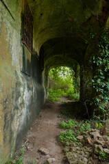 Fototapeta na wymiar Passage inside a ruined convent