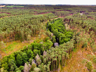 Fototapeta na wymiar Brda river and Tuchola forest in Poland. Aerial view