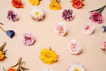 Composition of mixed flowers on pastel background. top view, copy space.