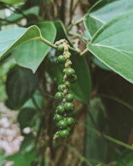 Processed with VSCO with a10 preset