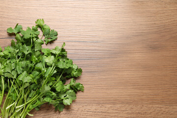 Bunch of fresh aromatic cilantro on wooden table, top view. Space for text