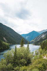 Fototapeta na wymiar a blue lake among mountains and trees on a summer day.