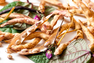 Dry open bean pods close-up. Heap of bean pods on a white background. Harvest beans.