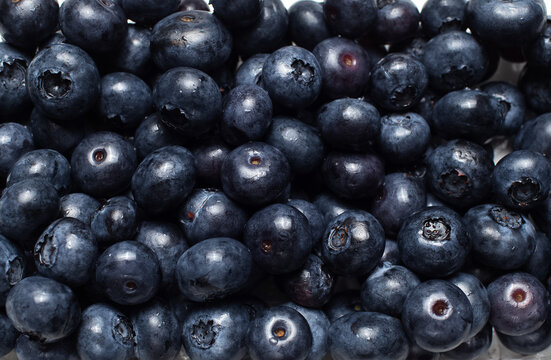 Close-up picture of fresh blueberries, pattern idea.