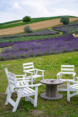 empty wooden tables and chairs and lavender field in the background