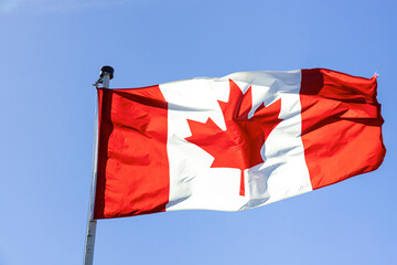 The Canadian national flag fllying against a clear blue sky.