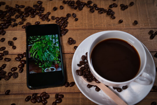 ブラックコーヒーとスマートフォンに写るコーヒーの木の画像