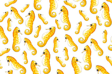 The yellow seahorses pattern.