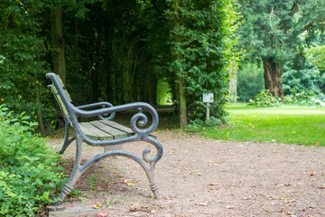 bench in a summer park