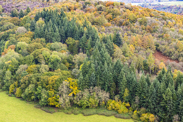 Obraz premium Autumn in the Wye Valley - Mixed woodland on the slopes of Coppett Hill viewed from Symonds Yat Rock, Herefodshire UK