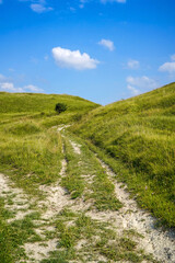 Fototapeta na wymiar winding rural dirt road in summer field and blue sky